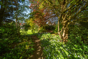 REAR GARDEN- click for photo gallery